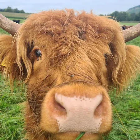 Guest house Kachelofa Gbr Vaihingen an der Enz