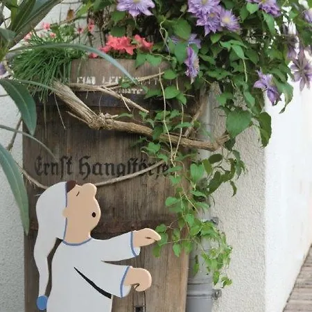 Gasthof Kachelofa Vaihingen an der Enz